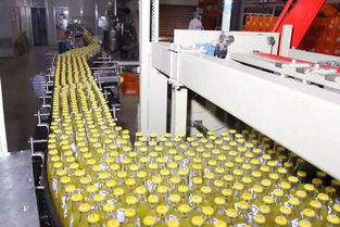 吨吨吨，嗝！没谁能在北京的夏天拒绝一瓶儿北冰洋